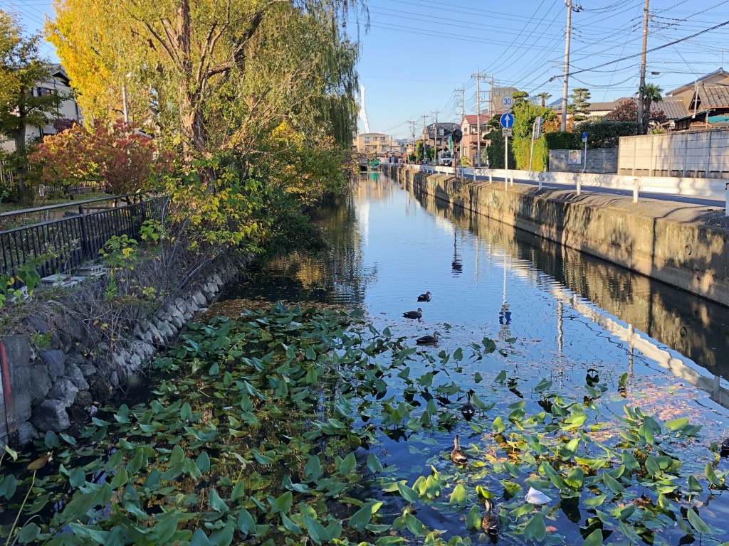 f:id:miwa3k:20191126212316j:plain