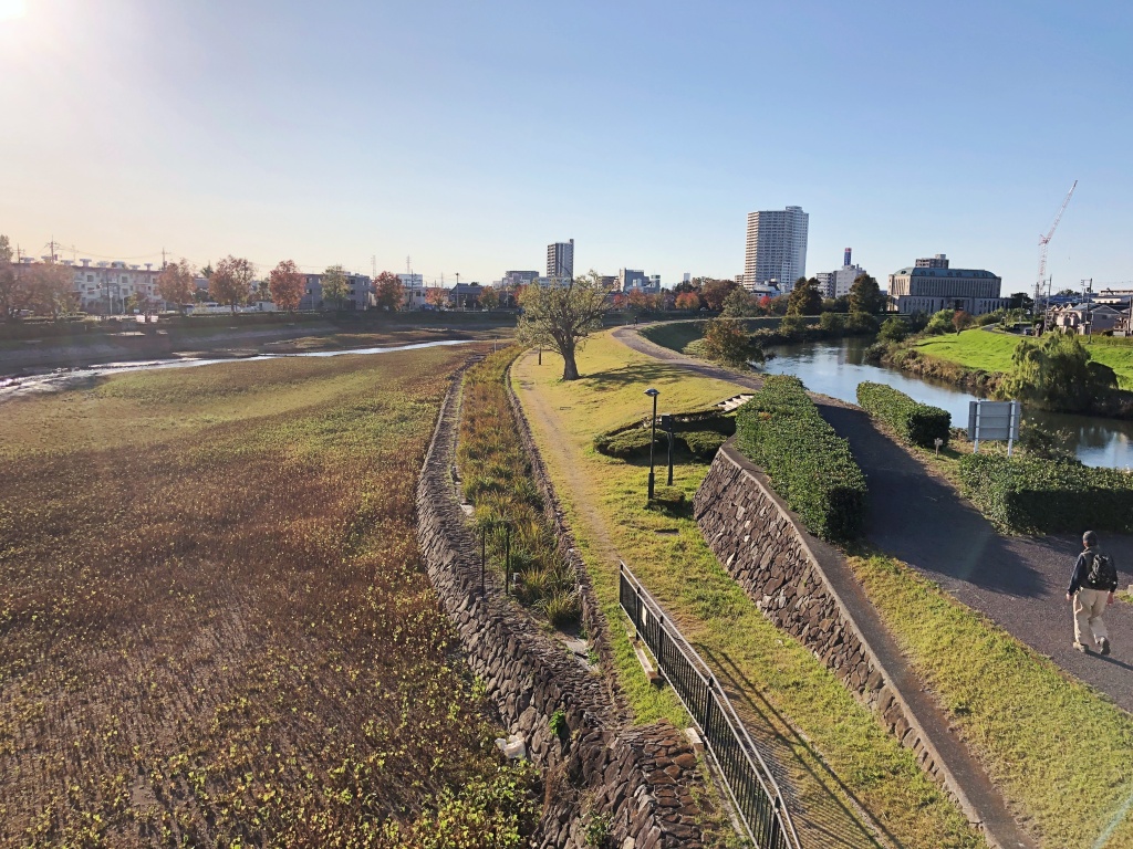 f:id:miwa3k:20191126212459j:plain