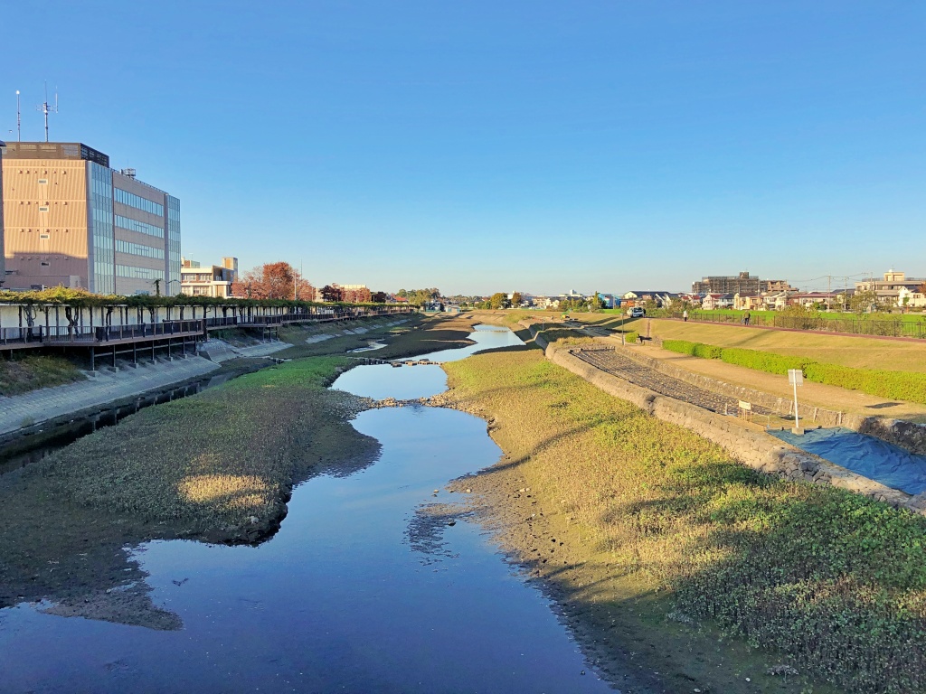 f:id:miwa3k:20191126212533j:plain
