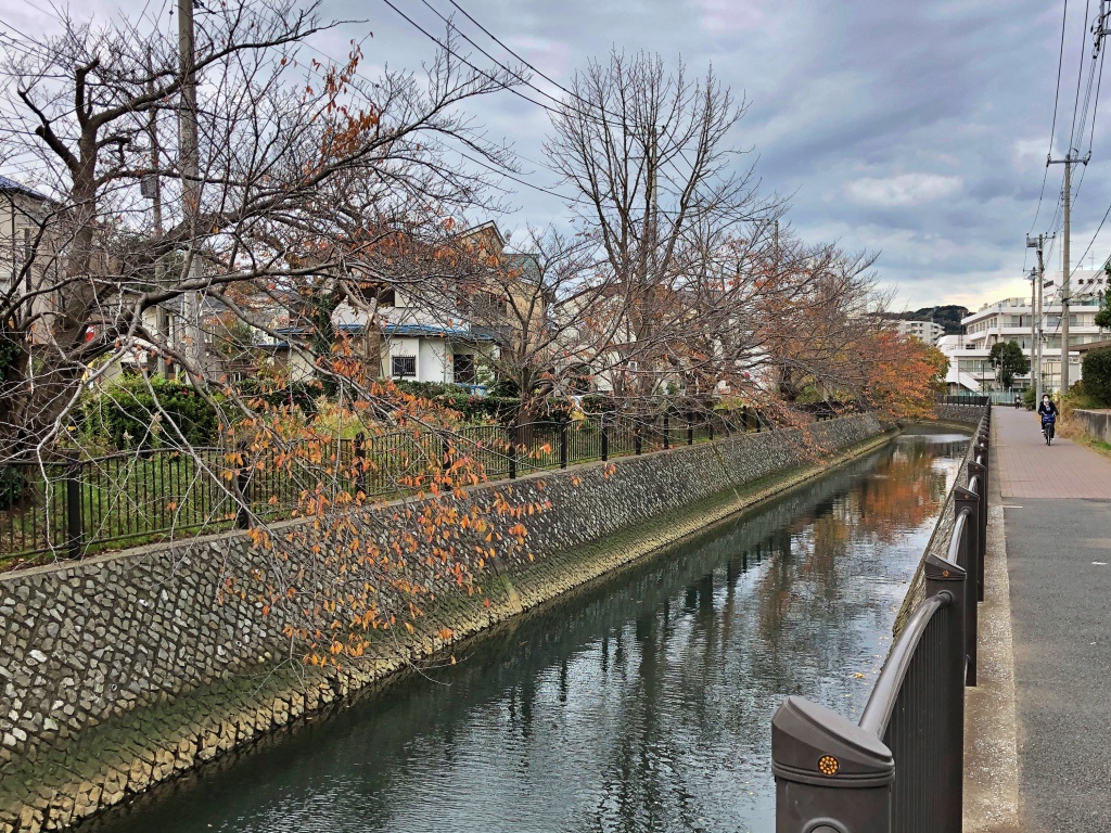 f:id:miwa3k:20191211124528j:plain