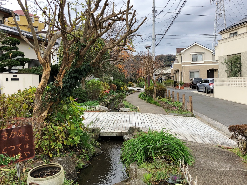 f:id:miwa3k:20191211124537j:plain