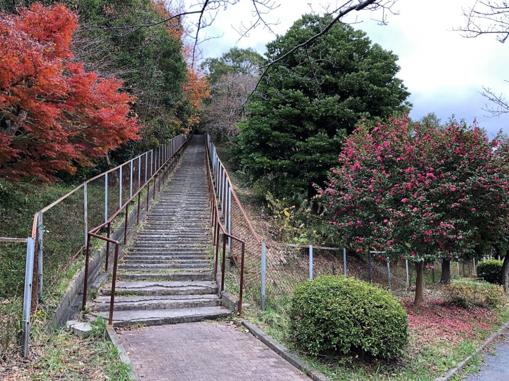 f:id:miwa3k:20191211124628j:plain