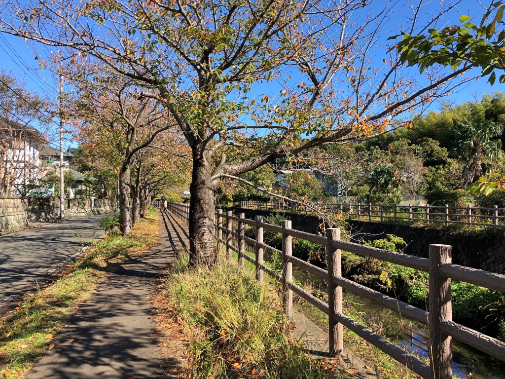 f:id:miwa3k:20191213200652j:plain