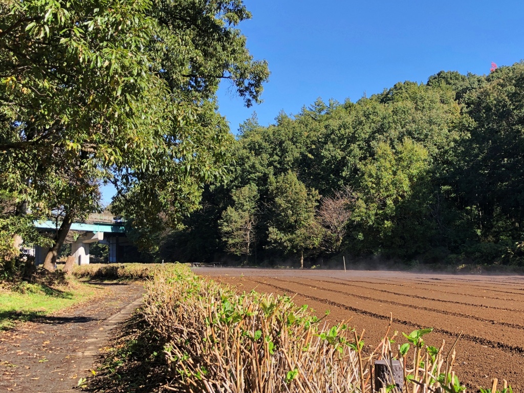 f:id:miwa3k:20191213200700j:plain