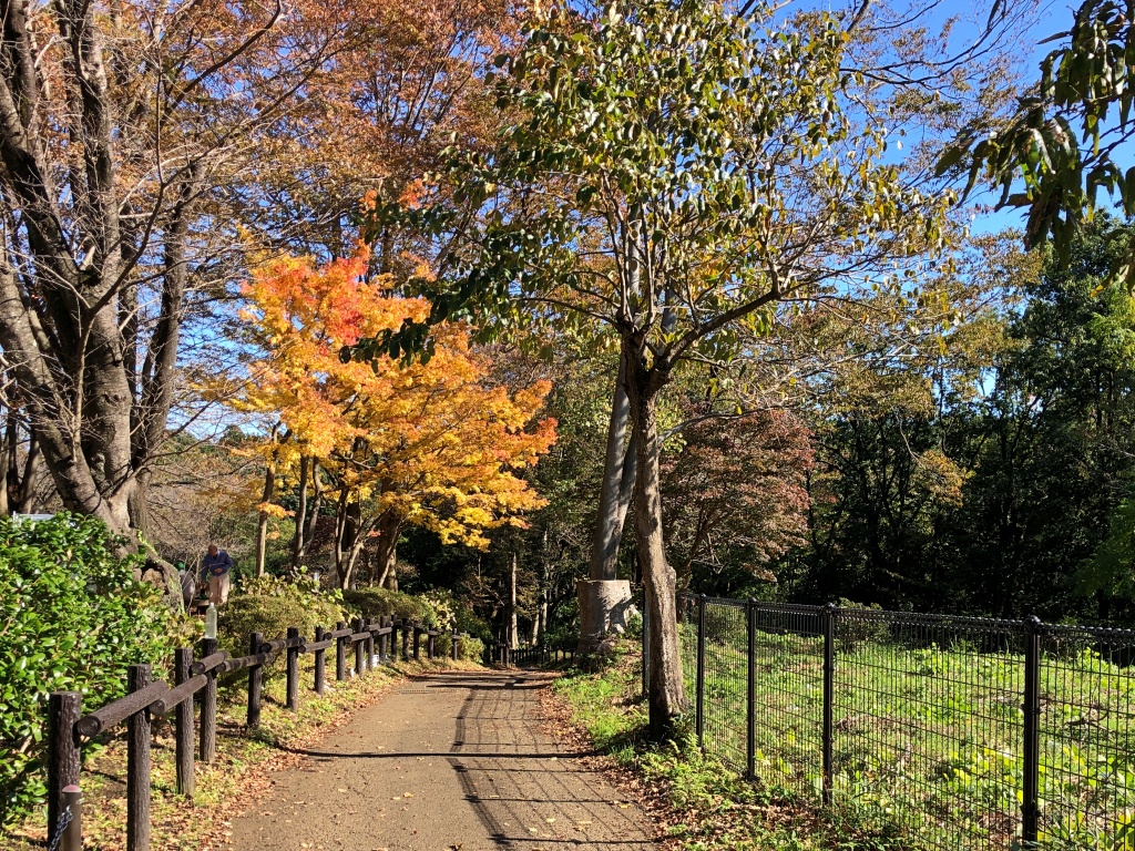 f:id:miwa3k:20191213200717j:plain