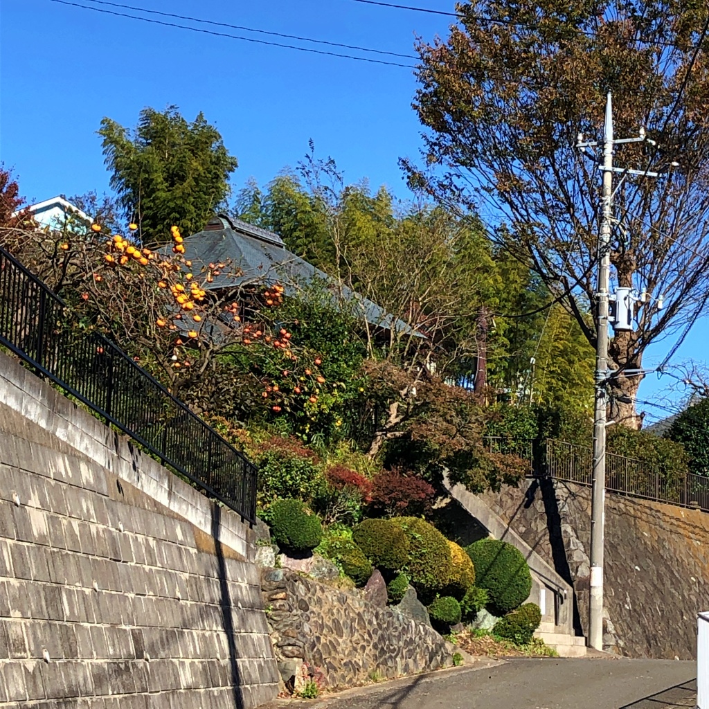f:id:miwa3k:20191213200743j:plain