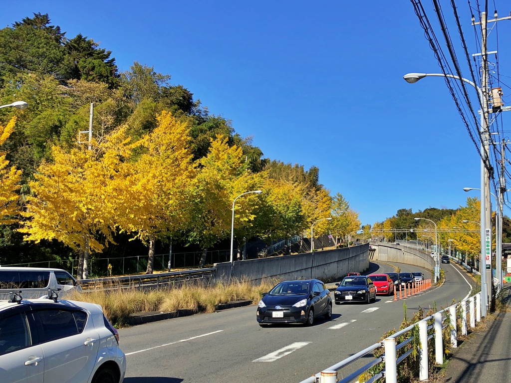 f:id:miwa3k:20191213200815j:plain