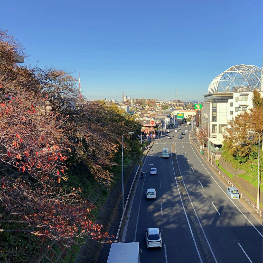 f:id:miwa3k:20191213200904j:plain
