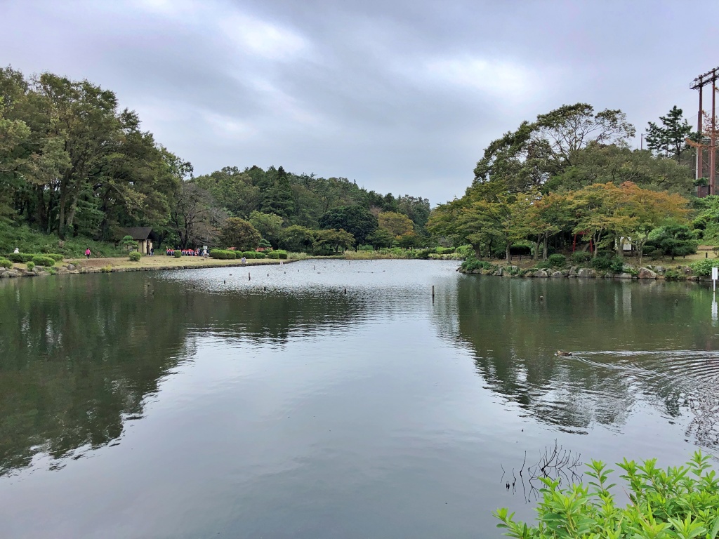 f:id:miwa3k:20191213200939j:plain
