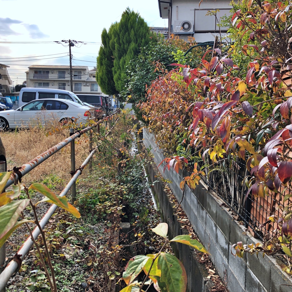 f:id:miwa3k:20191216231343j:plain