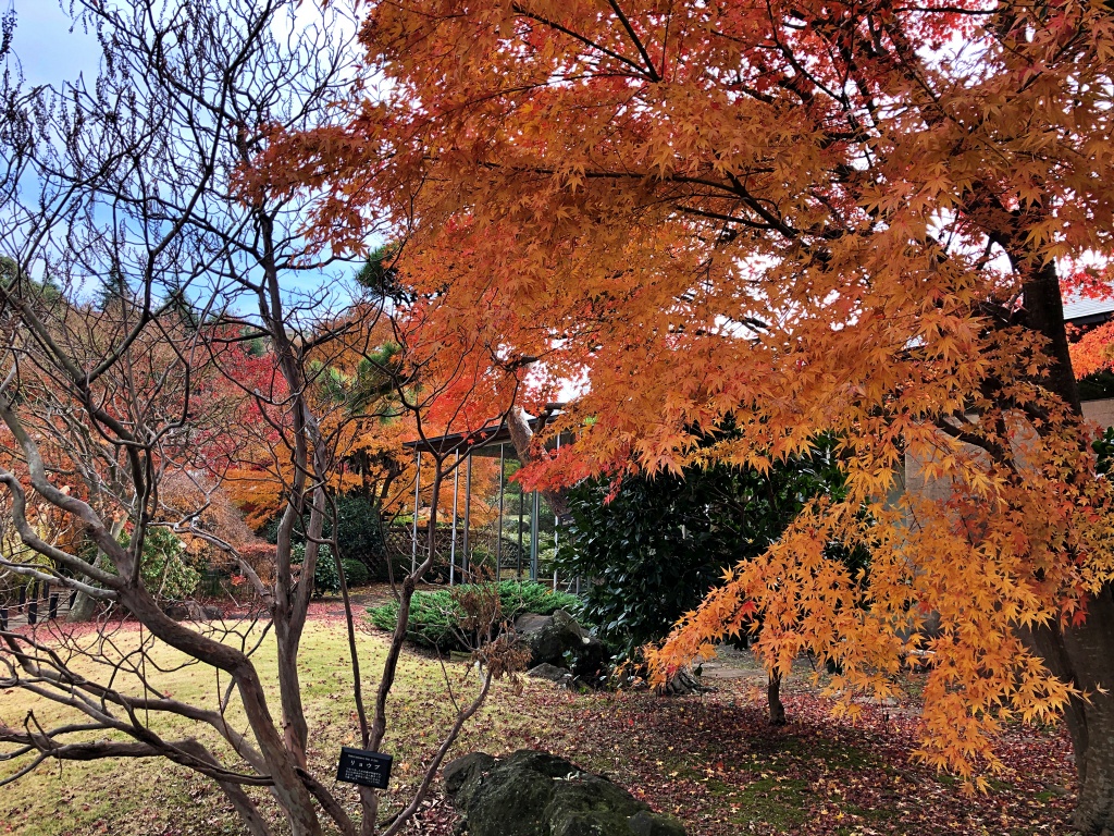 f:id:miwa3k:20191216231432j:plain
