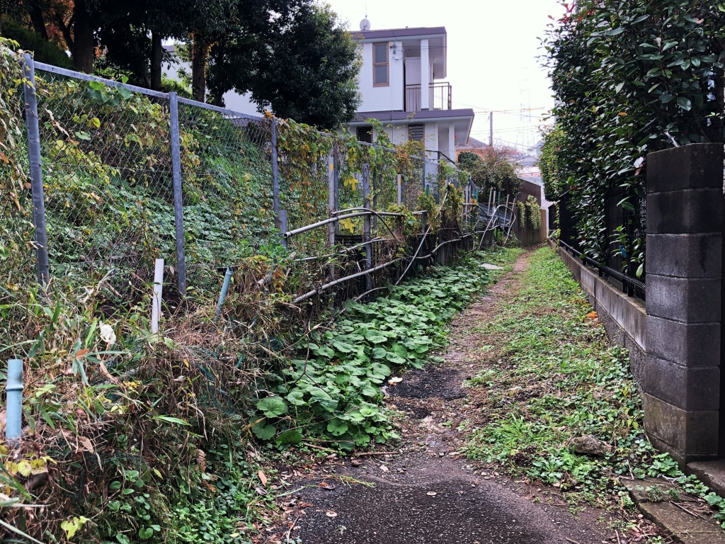 f:id:miwa3k:20191221142547j:plain
