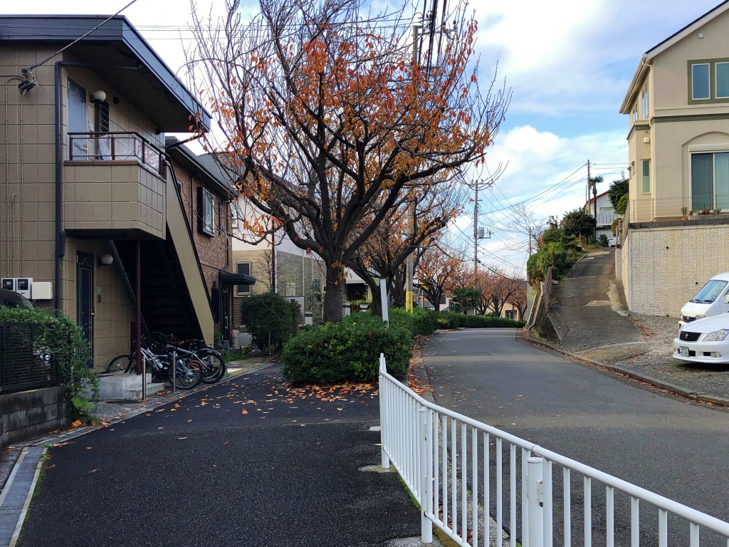 f:id:miwa3k:20191221142650j:plain