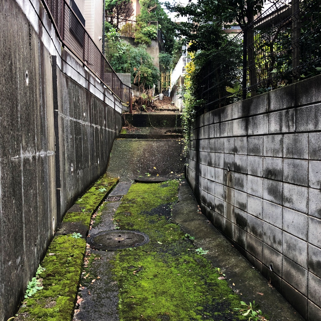 f:id:miwa3k:20191221142730j:plain