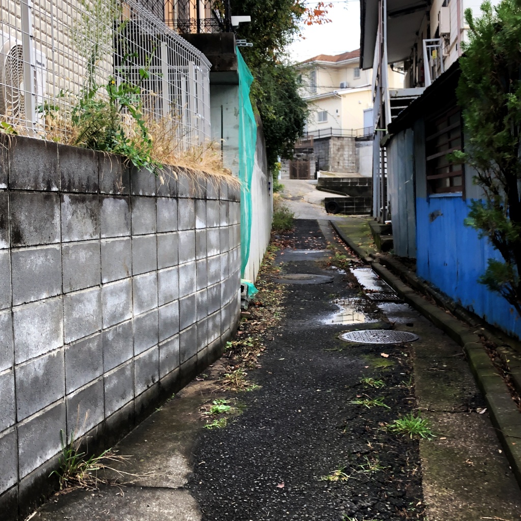 f:id:miwa3k:20191221142811j:plain