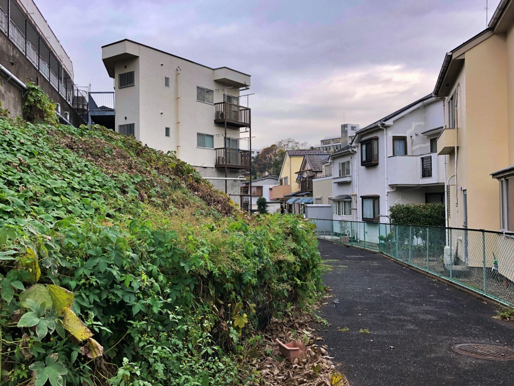 f:id:miwa3k:20191221142904j:plain