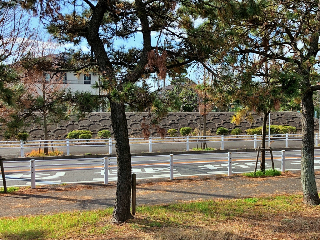 f:id:miwa3k:20191225202207j:plain