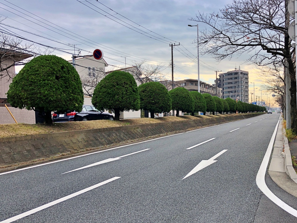 f:id:miwa3k:20191225202721j:plain