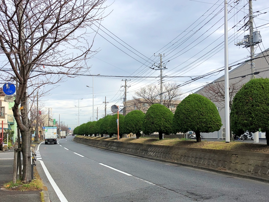 f:id:miwa3k:20191225202731j:plain