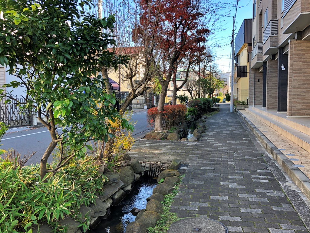 f:id:miwa3k:20200116164531j:plain f:id:miwa3k:20200116164531j:plain