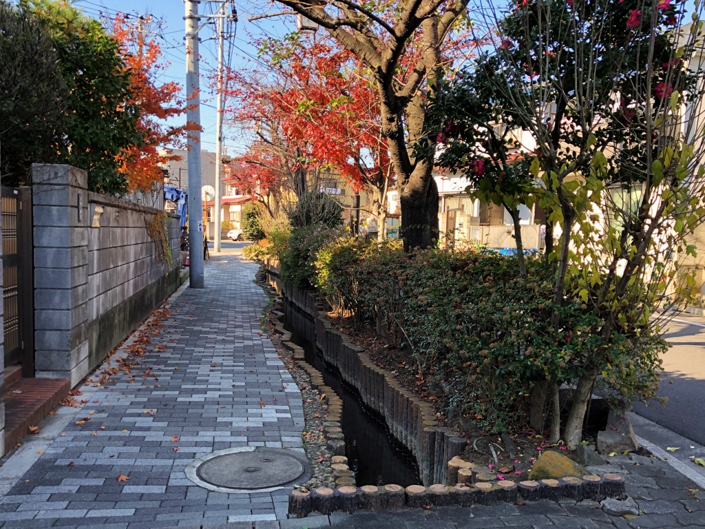 f:id:miwa3k:20200116164540j:plain f:id:miwa3k:20200116164540j:plain