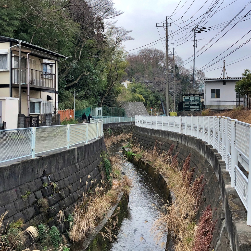 f:id:miwa3k:20200129174508j:plain