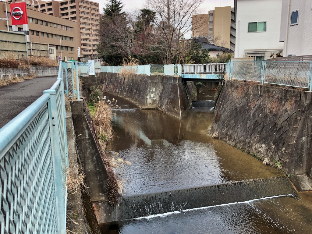 f:id:miwa3k:20200129174514j:plain