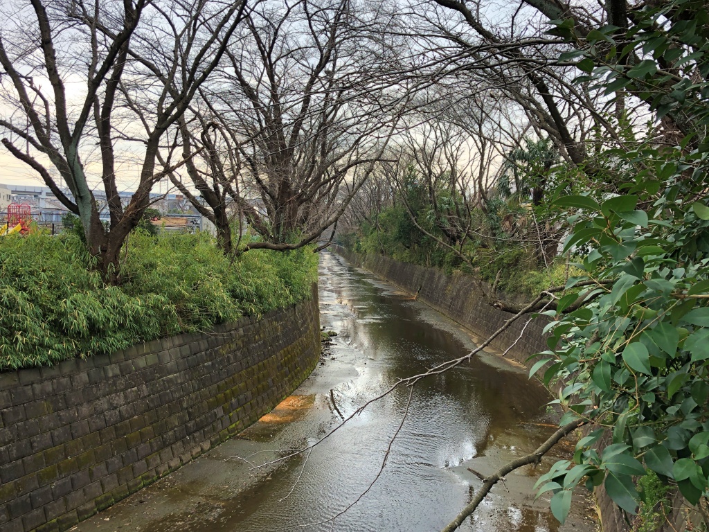 f:id:miwa3k:20200129174523j:plain