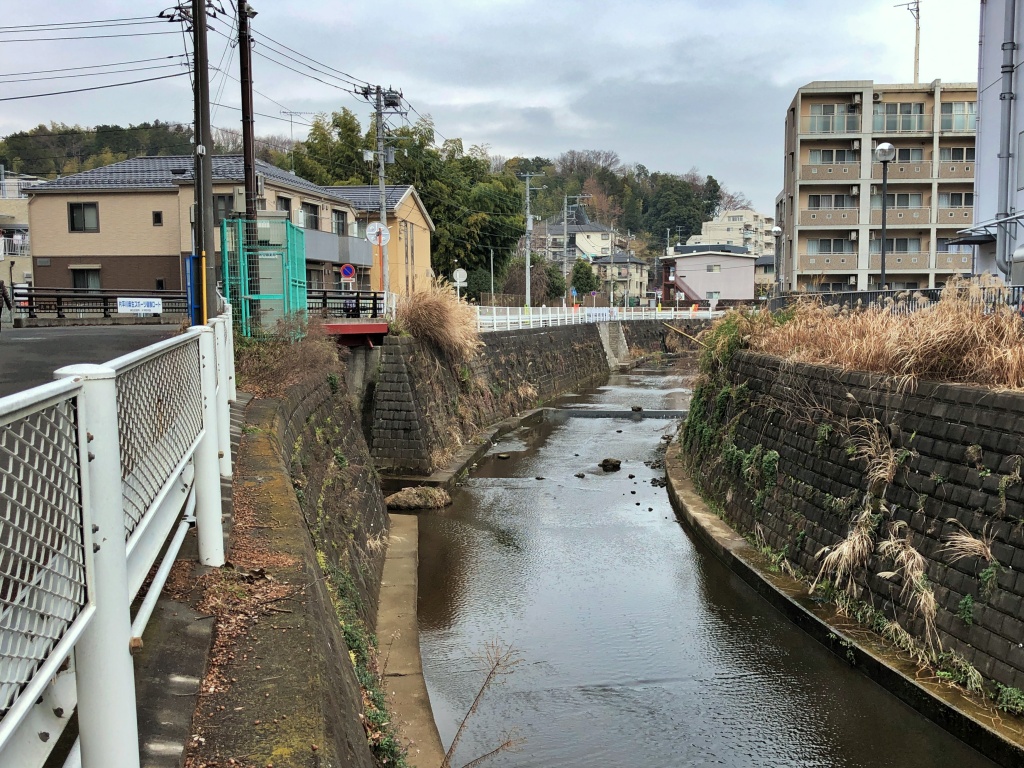 f:id:miwa3k:20200129174548j:plain