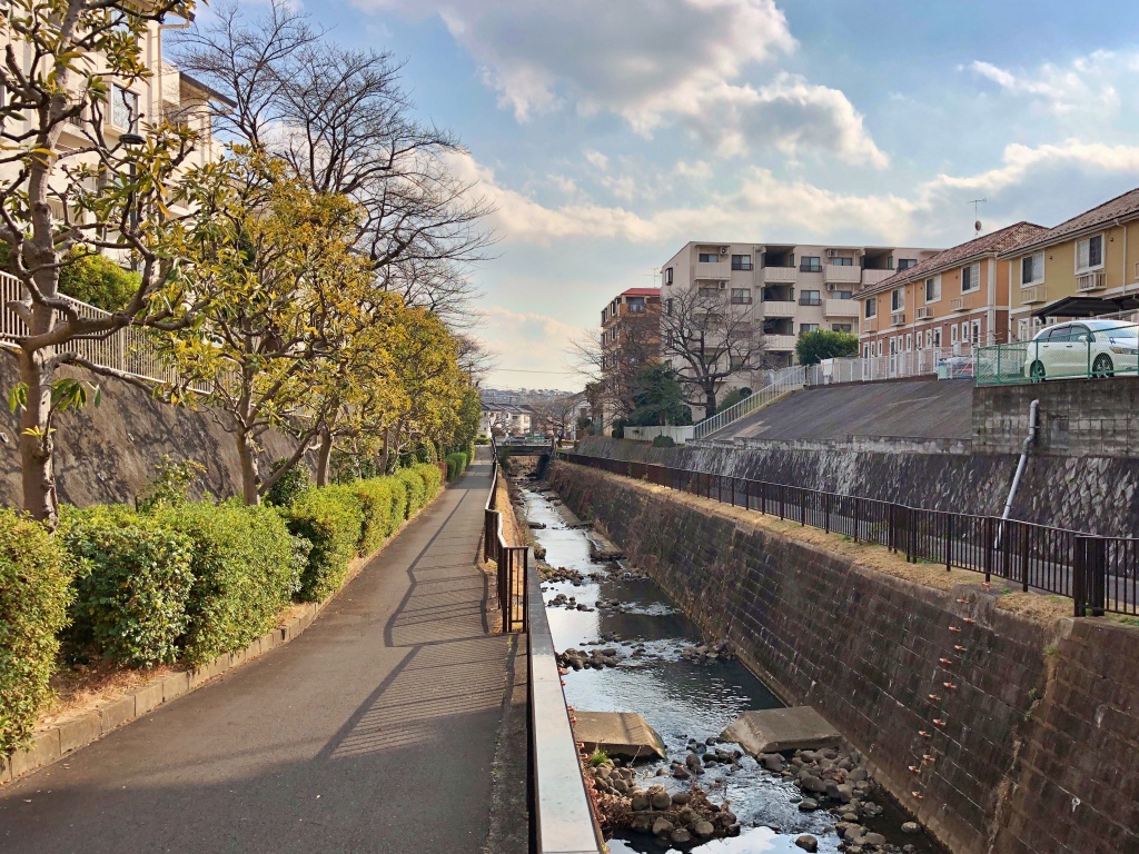 f:id:miwa3k:20200205210923j:plain