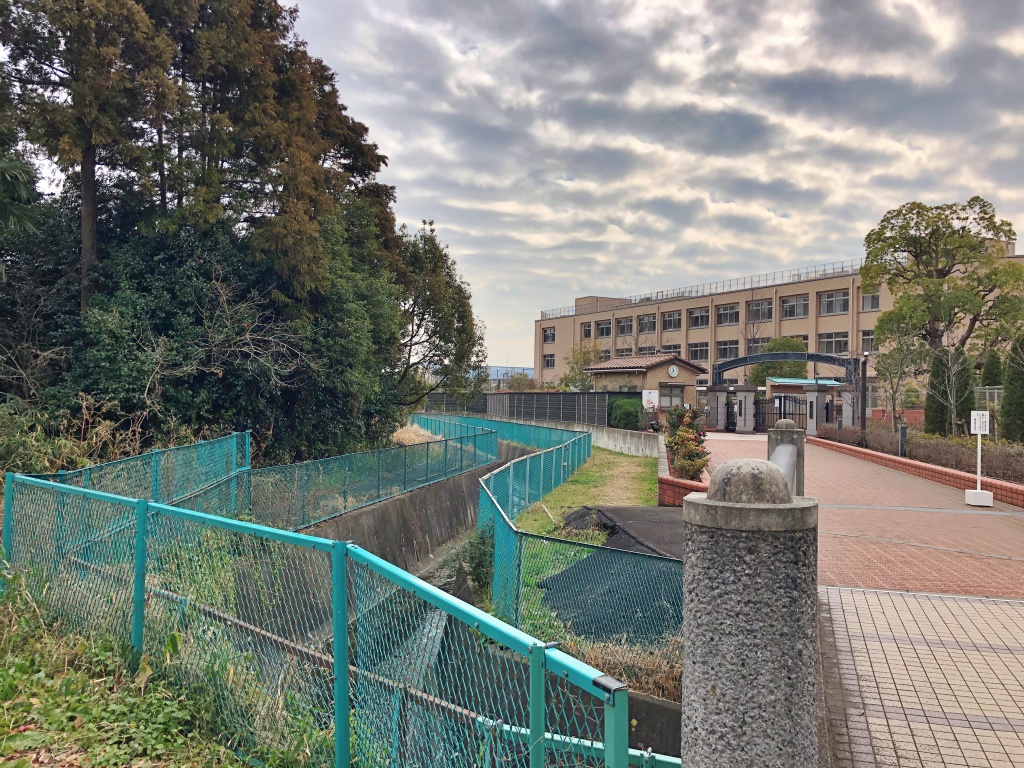 f:id:miwa3k:20200205211226j:plain