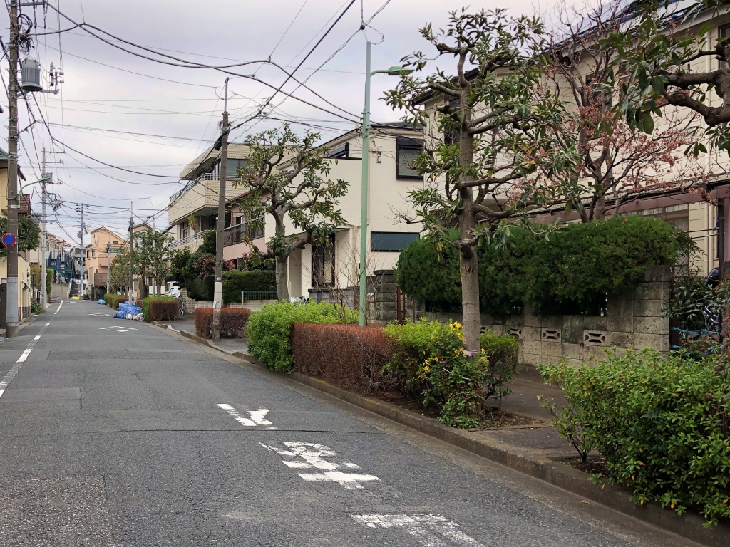 f:id:miwa3k:20200208145231j:plain f:id:miwa3k:20200208145231j:plain