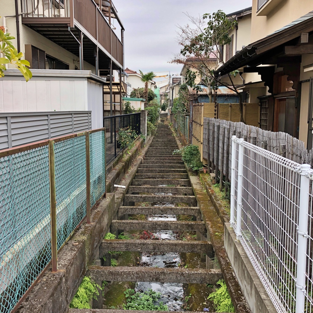 f:id:miwa3k:20200208145548j:plain f:id:miwa3k:20200208145548j:plain