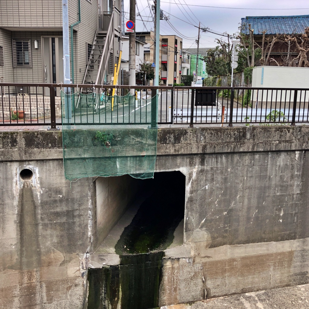 f:id:miwa3k:20200208145644j:plain f:id:miwa3k:20200208145644j:plain