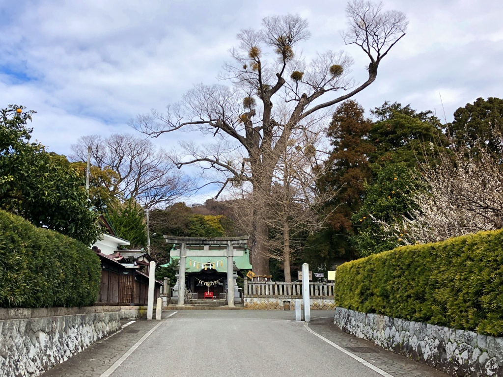 f:id:miwa3k:20200216130612j:plain