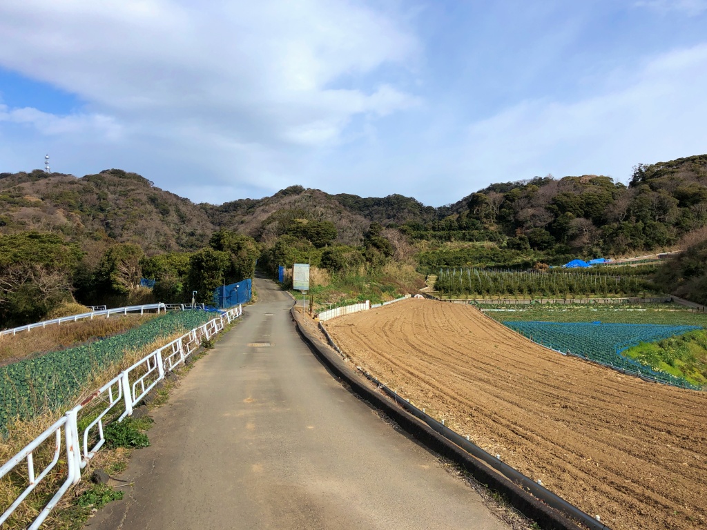 f:id:miwa3k:20200219192941j:plain