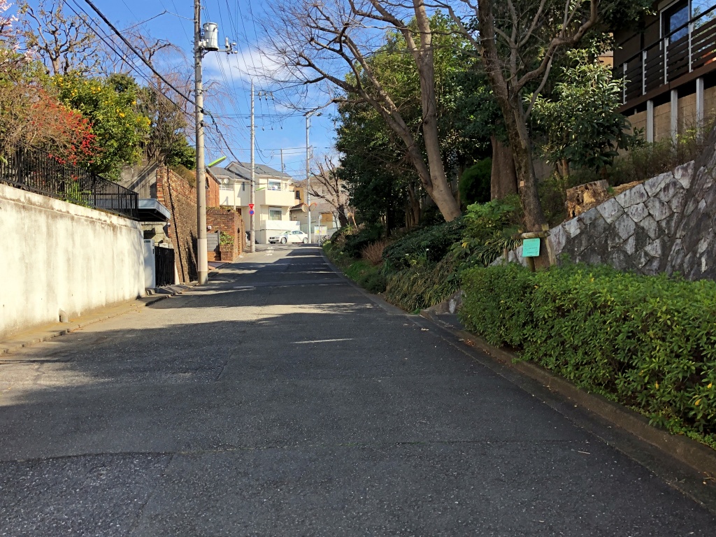 f:id:miwa3k:20200225151640j:plain