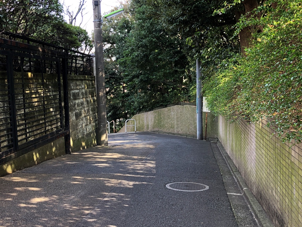 f:id:miwa3k:20200308130743j:plain