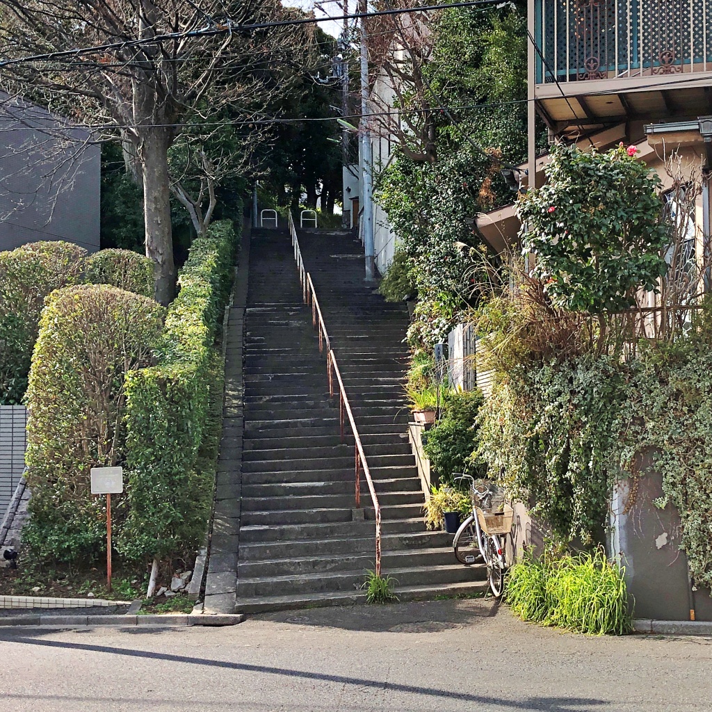f:id:miwa3k:20200308130826j:plain