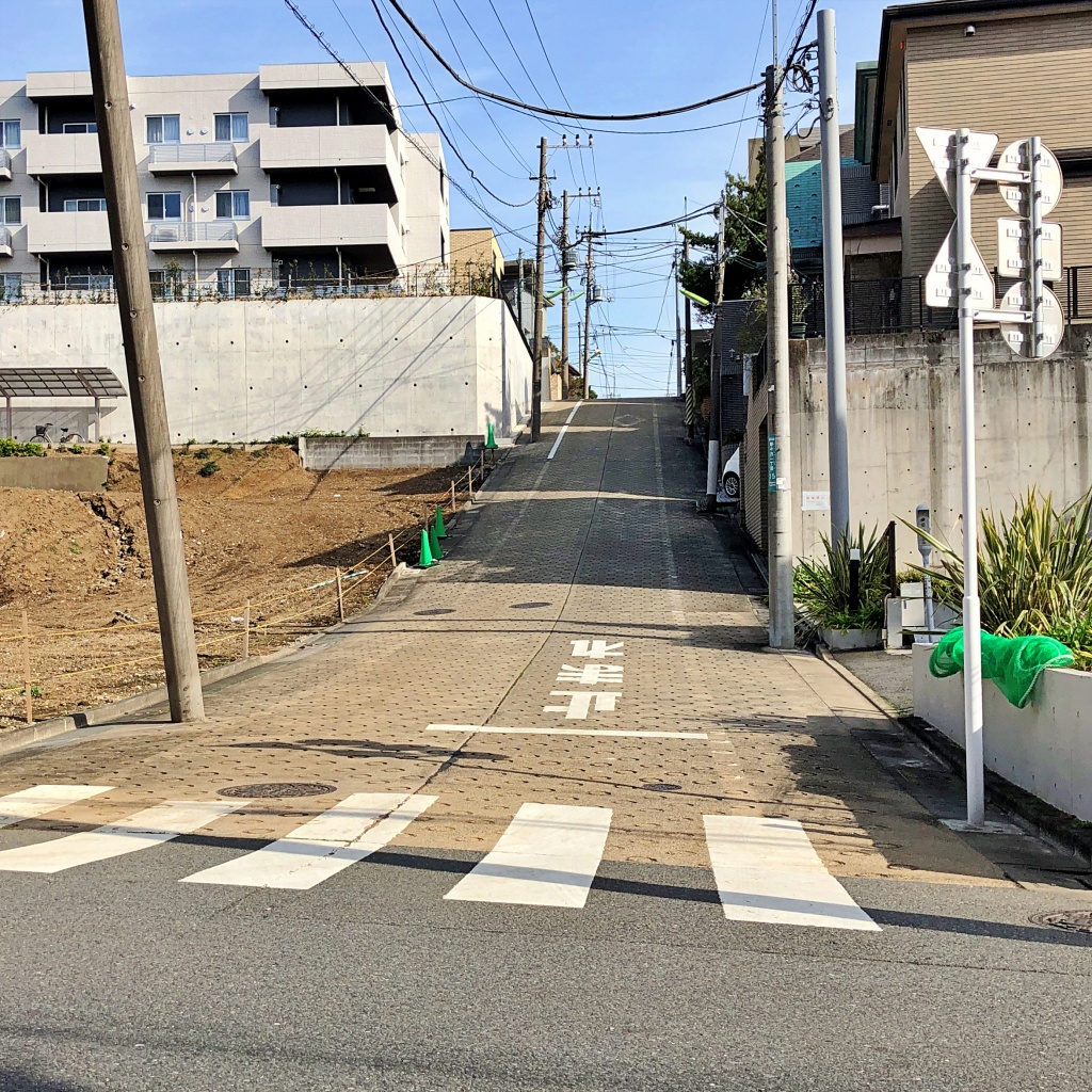 f:id:miwa3k:20200308130835j:plain