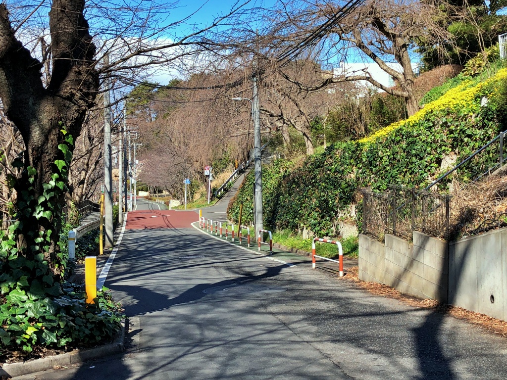 f:id:miwa3k:20200310130258j:plain