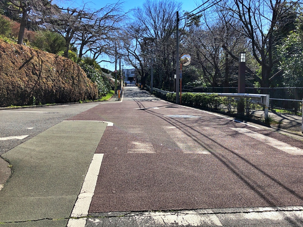f:id:miwa3k:20200310130324j:plain