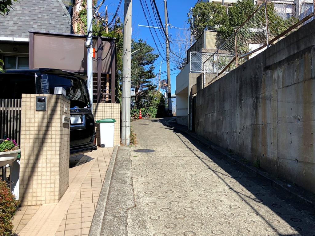 f:id:miwa3k:20200310130449j:plain