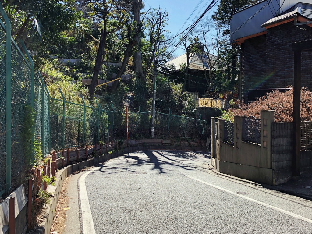 f:id:miwa3k:20200310130604j:plain