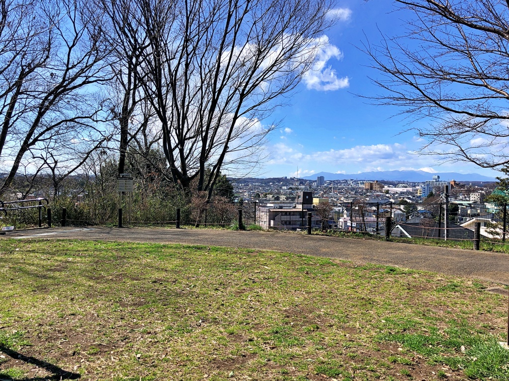 f:id:miwa3k:20200313150150j:plain