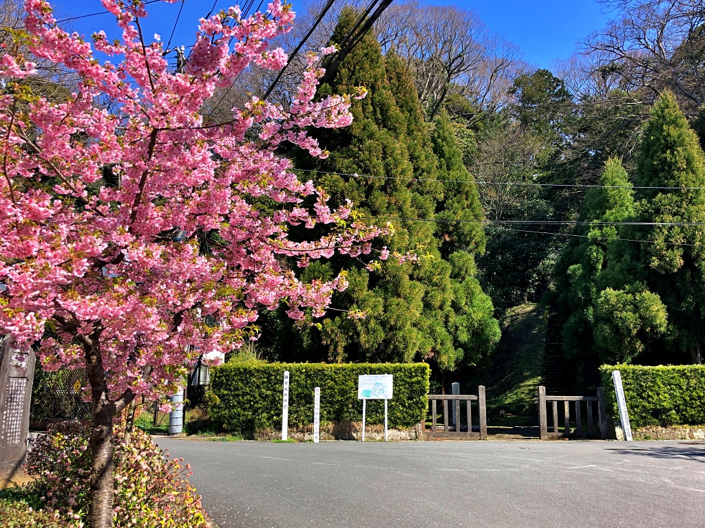 f:id:miwa3k:20200316113749j:plain f:id:miwa3k:20200316113749j:plain