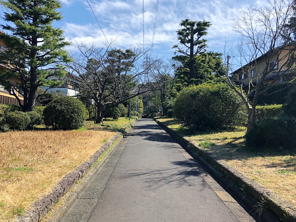 f:id:miwa3k:20200316113916j:plain f:id:miwa3k:20200316113916j:plain