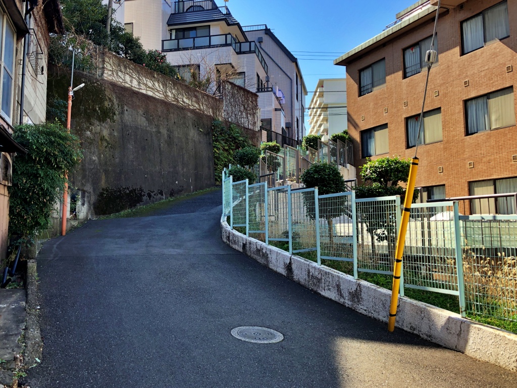 f:id:miwa3k:20200323214235j:plain