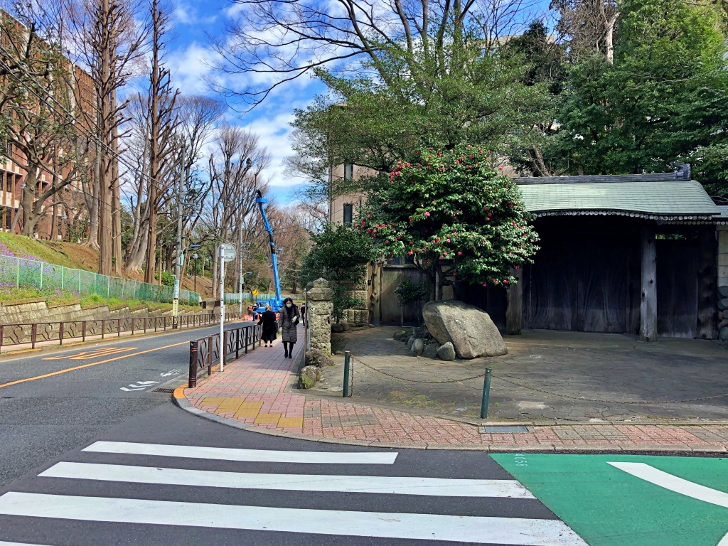 f:id:miwa3k:20200326212937j:plain