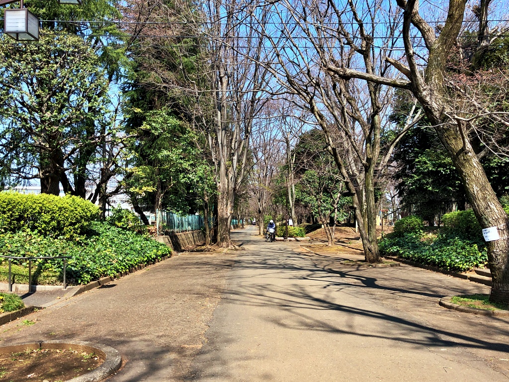 f:id:miwa3k:20200401192751j:plain